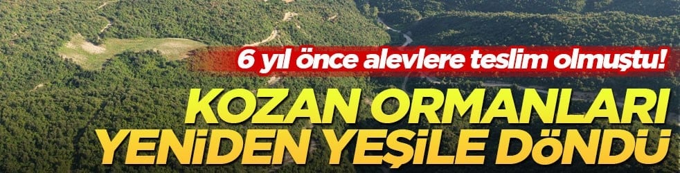 6 yıl önce alevlere teslim olmuştu! Kozan ormanları yeniden yeşile döndü