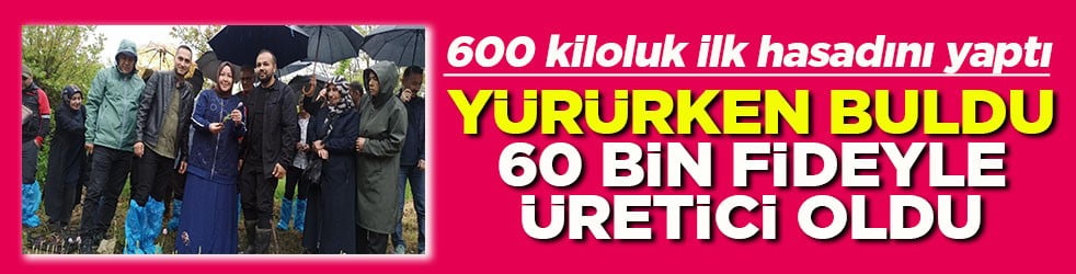 600 kiloluk ilk hasadını yaptı Yürürken buldu 60 bin fideyle üretici oldu