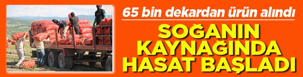 65 bin dekardan ürün alındı Soğanın kaynağında hasat başladı