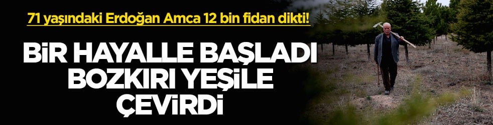 71 yaşındaki Erdoğan Amca 12 bin fidan dikti! Bir hayalle başladı, bozkırı yeşile çevirdi