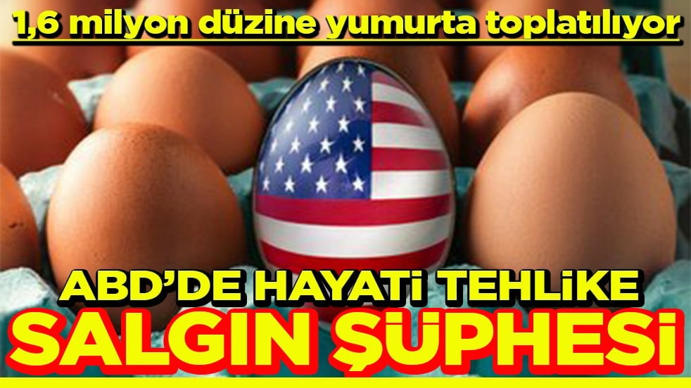 ABD’de hayati tehlike Yumurtalarda salgın şüphesi