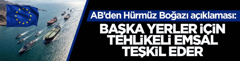 AB’den Hürmüz Boğazı açıklaması: Başka yerler için tehlikeli emsal teşkil eder