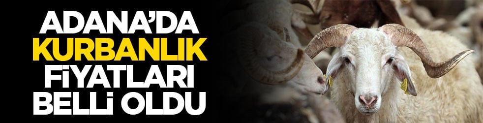 Adana'da kurbanlık fiyatları belli oldu
