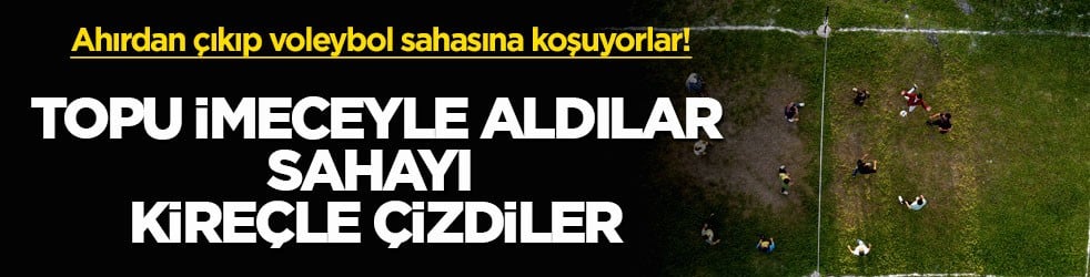 Ahırdan çıkıp voleybol sahasına koşuyorlar! Topu imeceyle aldılar, sahayı kireçle çizdiler