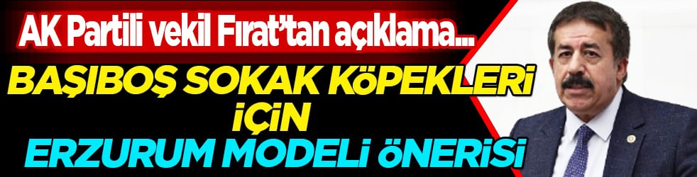 AK Partili vekil Abdurrahim Fırat'tan açıklama... Başıboş sokak köpekleri için Erzurum modeli önerisi!