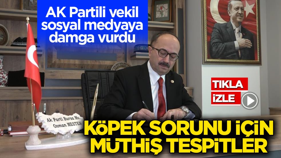 AK Partili vekil sosyal medyaya damga vurdu! Köpek sorunu için müthiş tespitler