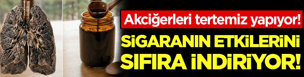 Akciğerlere iyi gelen besin: Bir kaşığı sigaranın etkilerini sıfırlıyor!