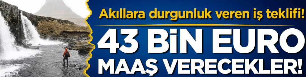 Akıllara durgunluk veren iş ilanı: 43 bin euro maaş verecekler!