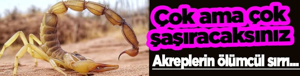 Akreplerin ölümcül sırrı ne açıkladılar! Ezber bozan gerçek... Herkes şaşırdı