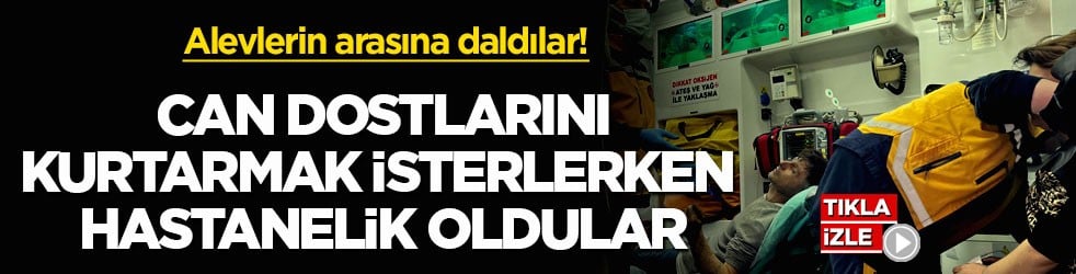 Alevlerin arasına daldılar! Can dostlarını kurtarmak isterlerken hastanelik oldular