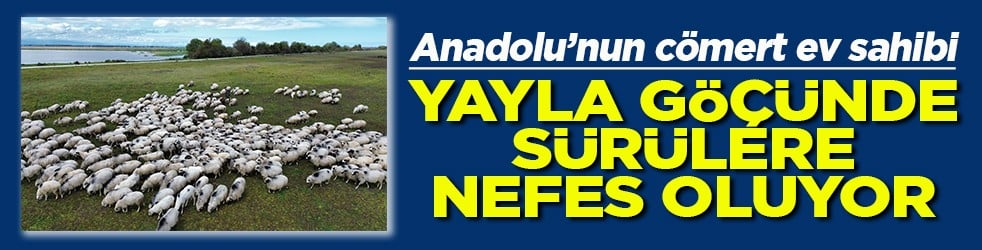 Anadolu'nun cömert ev sahibi Yayla göçünde sürülere nefes oluyor