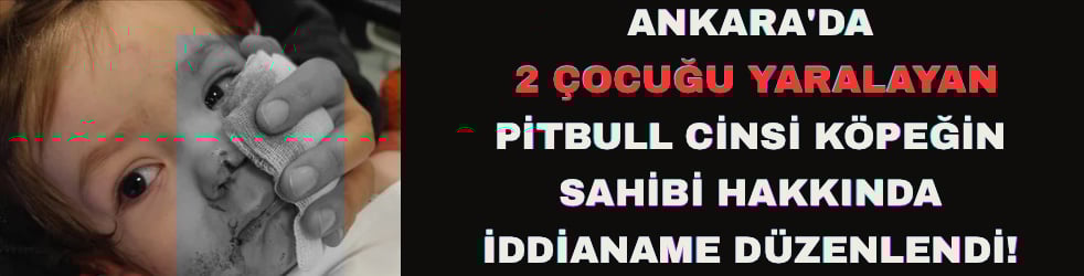 Ankara'da 2 çocuğu yaralayan pitbull cinsi köpeğin sahibi hakkında iddianame düzenlendi