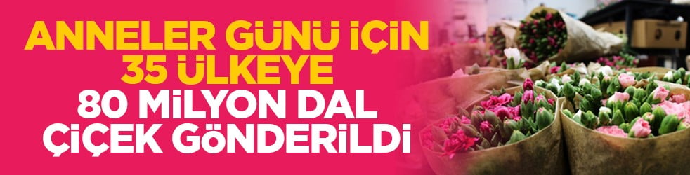 Anneler Günü için 35 ülkeye 80 milyon dal çiçek gönderildi