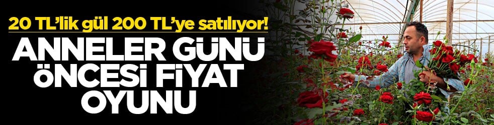 Anneler Günü öncesi fiyat oyunu: 20 TL’lik gül 200 TL’ye satılıyor