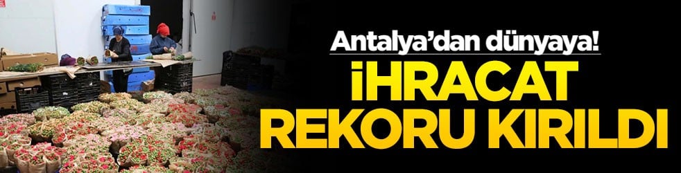 Antalya’dan dünyaya! İhracat rekoru kırıldı