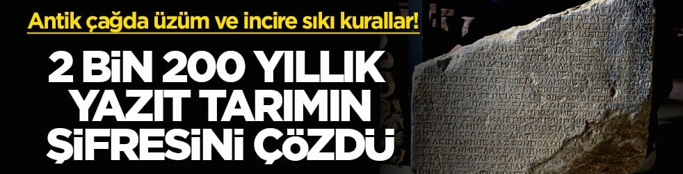 Antik çağda üzüm ve incire sıkı kurallar! 2 bin 200 yıllık yazıt tarımın şifresini çözdü