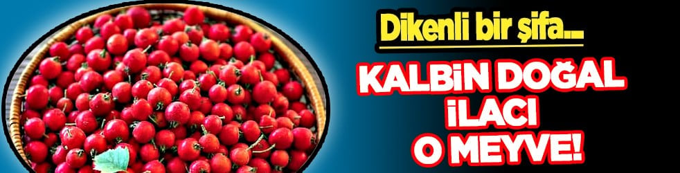 Antioksidan içeriği ile... Dikenli bir şifa... Kalbin doğal ilacı o meyve