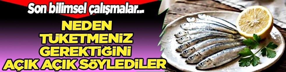 Araştırmalar söylüyor: Kalbi koruyor, beyni güçlendiriyor: Sofranın en ucuzu, sağlığın en güçlüsü