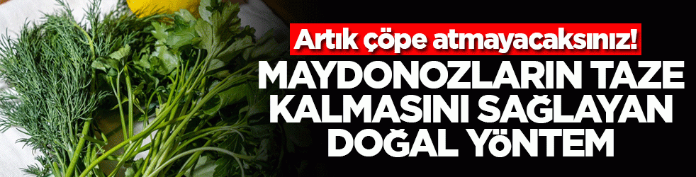 Artık çöpe atmayacaksınız! Maydonozların taze kalmasını sağlayan doğal yöntem