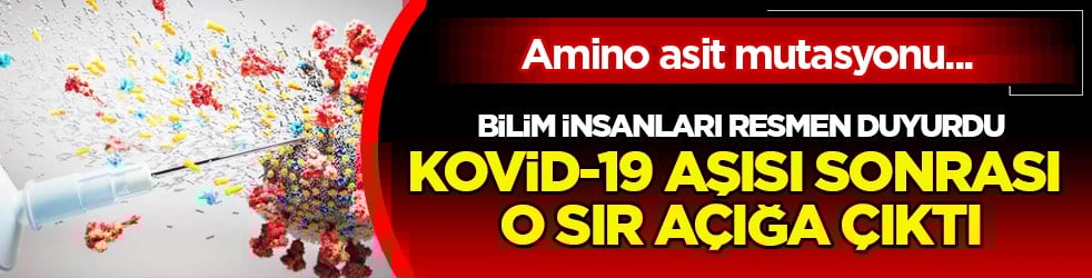 Aşıdan korkup gidilmemişti bir dönem... Kovid-19 aşısı sonrası kan pıhtılaşması sırrı açığa çıktı