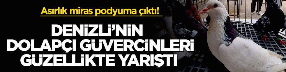 Asırlık miras podyuma çıktı! Denizli’nin Dolapçı güvercinleri güzellikte yarıştı