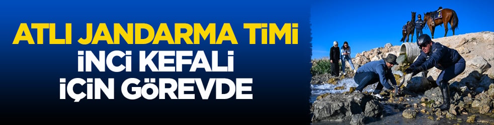 Atlı jandarma timi inci kefali için görevde