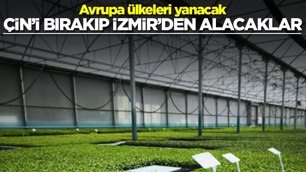 Avrupa ülkeleri yanacak: Çin'i bırakıp İzmir'den alacaklar