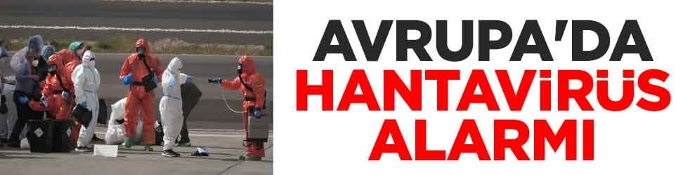 Avrupa'da hantavirüs alarmı