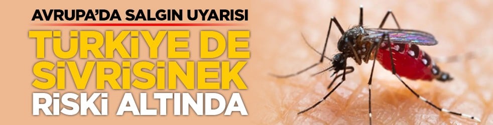 Avrupa’da salgın uyarısı: Türkiye de sivrisinek riski altında