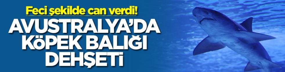 Avustralya’da köpek balığı dehşeti! Feci şekilde can verdi