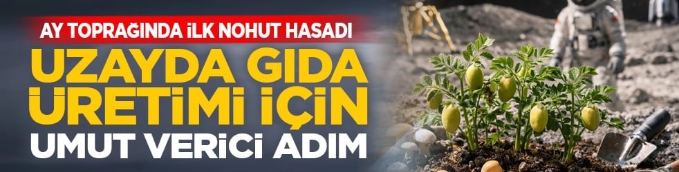 Ay toprağında ilk nohut hasadı: Uzayda gıda üretimi için umut verici adım