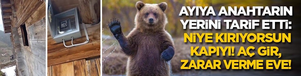 Ayıya anahtarın yerini tarif etti: Kapıyı niye kırıyorsun! Aç gir, zarar verme eve!