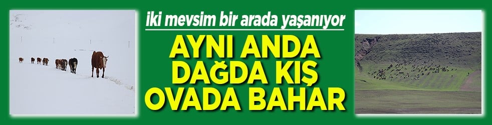 Aynı anda dağda kış ovada bahar
