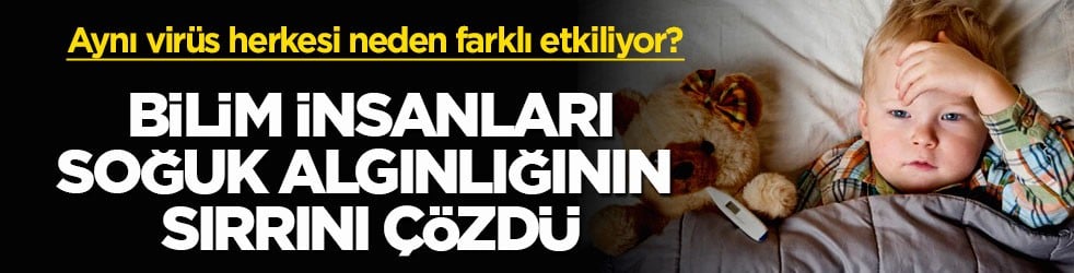 Aynı virüs herkesi neden farklı etkiliyor? Bilim insanları soğuk algınlığının sırrını çözdü