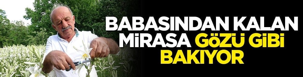Babasından kalan mirasa gözü gibi bakıyor