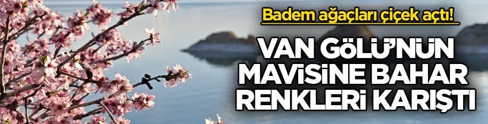 Badem ağaçları çiçek açtı! Van Gölü’nün mavisine bahar renkleri karıştı