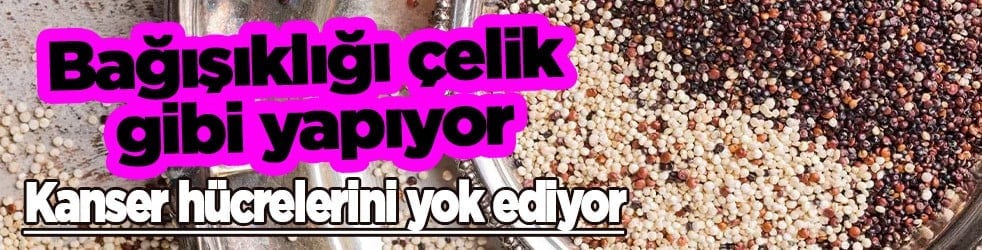  Bağırsakları saat gibi çalıştırıyor: Lif içeriğiyle baştan aşağı yeniliyor! Kanser hücrelerini yok eder