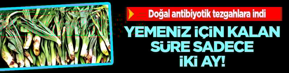 Bağışıklık sistemine karşı: Doğal antibiyotik tezgahlara indi: Sadece 2 ay yiyebilirsiniz...