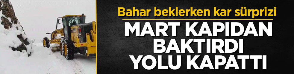 Bahar beklerken kar sürprizi! Mart kapıdan baktırdı, yolu kapattı: Doğu'da 298 noktada ulaşım durdu 