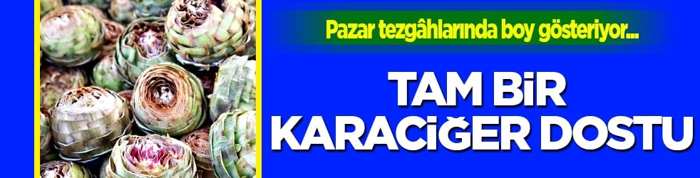 Baharın sağlık deposu: Karaciğer dostu tam mevsimi...Doğal toksin atıcı