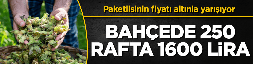 Bahçede 250, rafta 1600 lira! Paketlisinin fiyatı altınla yarışıyor