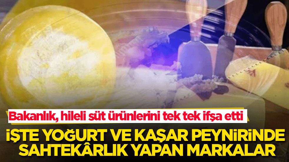 Bakanlık, hileli süt ürünlerini tek tek ifşa etti! İşte yoğurt ve kaşar peynirinde sahtekârlık yapan markalar