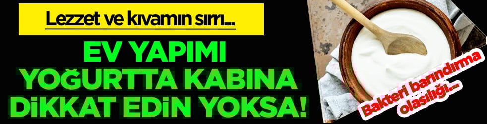 Bakteri ya olursa? Ev yapımı yoğurtta kap seçimi: Hangi materyal daha sağlıklı ve lezzetli?