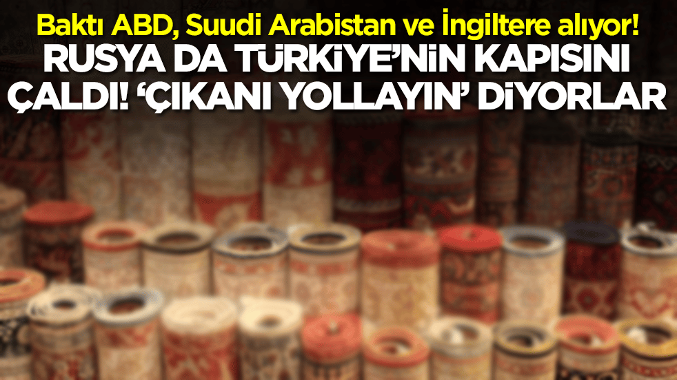 Baktı ABD, Suudi Arabistan ve İngiltere alıyor! Rusya da Türkiye'nin kapısını çaldı, 'çıkanı yollayın' diyorlar
