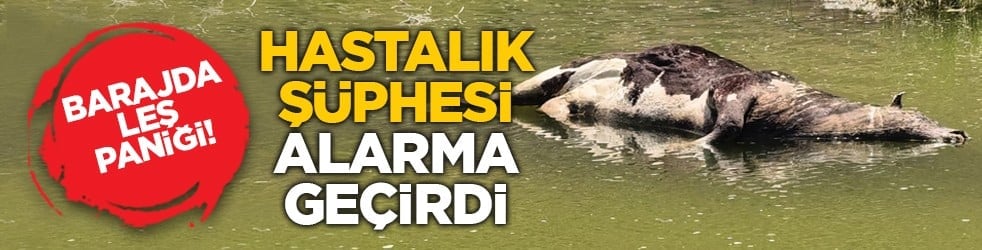 Barajda leş paniği! Hastalık şüphesi alarma geçirdi