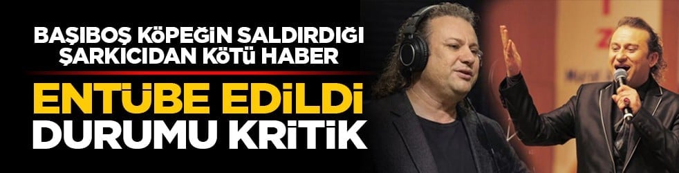 Başıboş köpeğin saldırdığı şarkıcıdan kötü haber: Entübe edildi, durumu kritik
