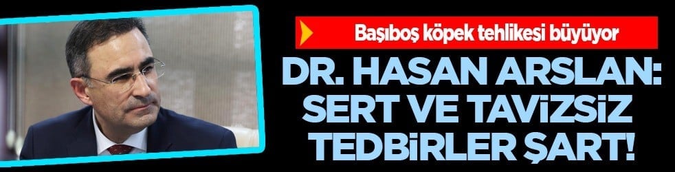 Başıboş köpek tehlikesi büyüyor: Afyonkarahisar’da yeni saldırı