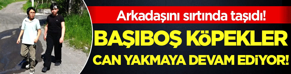 Başıboş köpekler can yakmaya devam ediyor! 2 çocuk saldırıya uğradı!