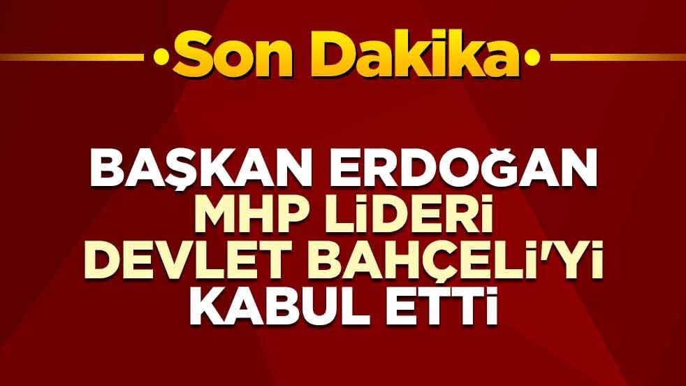 Başkan Erdoğan MHP lideri Bahçeli'yi kabul etti