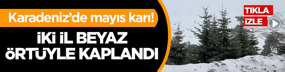 Batı Karadeniz’de mayıs karı! İki il beyaz örtüyle kaplandı